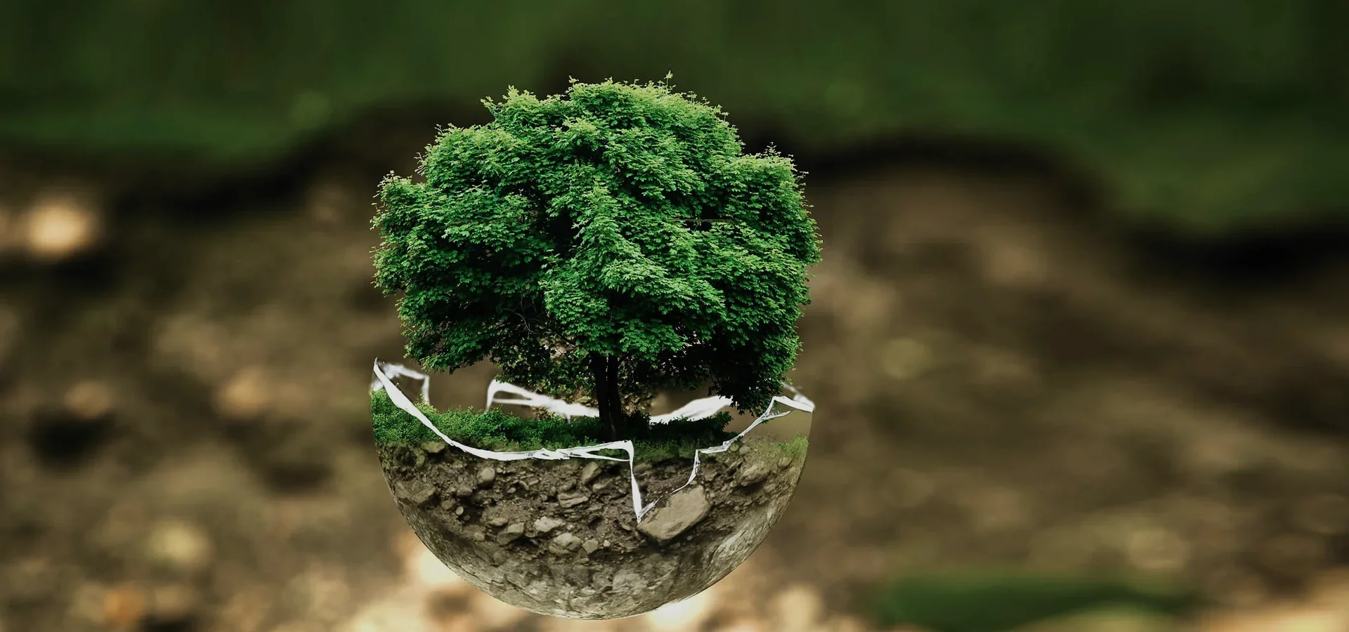 Transforming Waste Into Value.