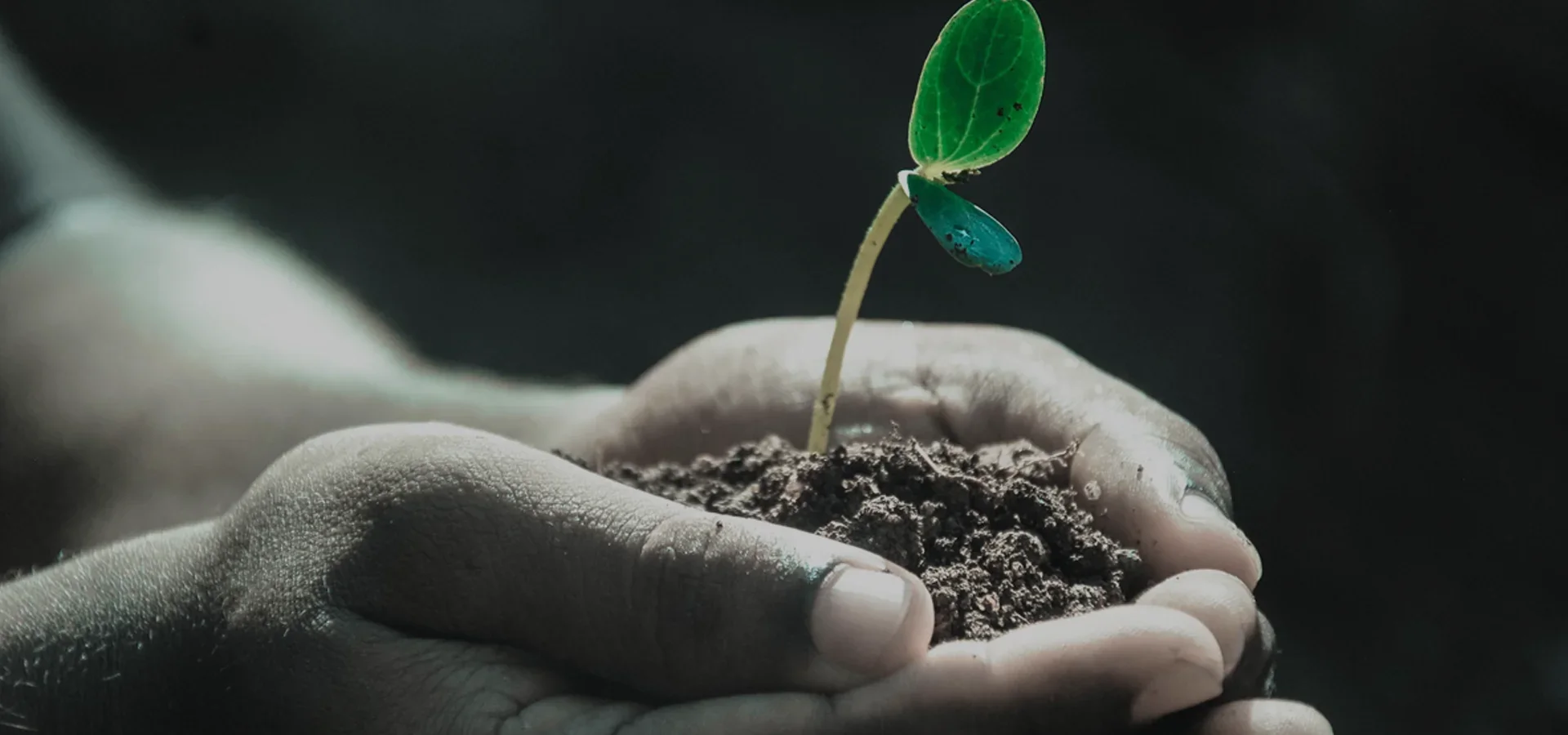 India's Most Trusted Environmental Engineers.